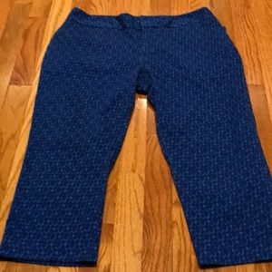 COLDWATER Creek~Capri/Cropped 🔵